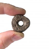 Top view of the Saltfleetby spindle whorl