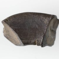 Silver Arm Ring fragment found at Torksey, Lincolnshire. © The Fitzwilliam Museum, Cambridge
