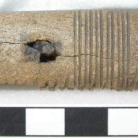 Fragment of an antler comb from the Roman Fort at Little Chester, Derbyshire. (c) Derby Museum and Art Gallery
