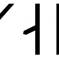 Skalli written in Viking Age runes (Group B)